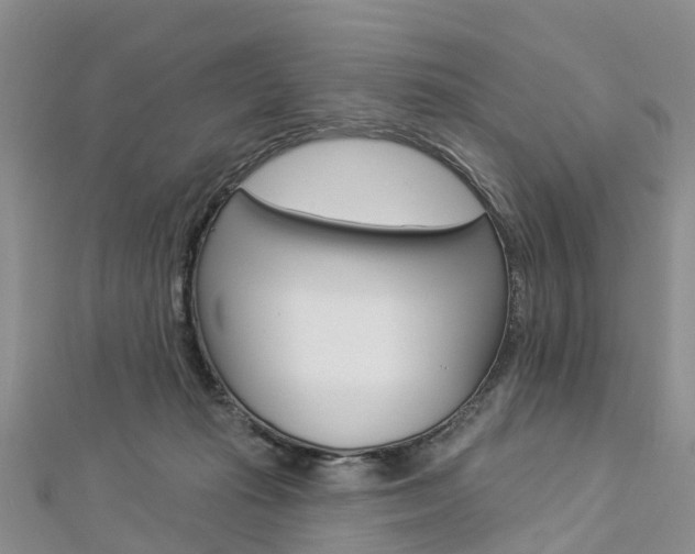 X0000112820269200908211006