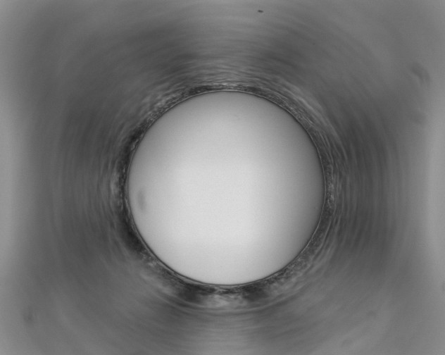 X0000112820270200908211006