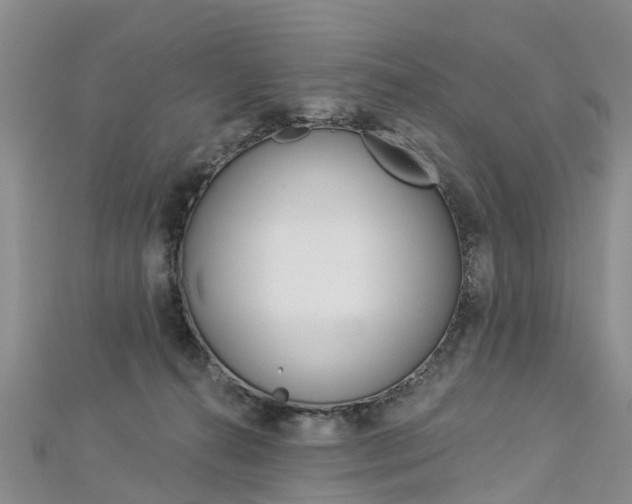 X0000112820272200908211006