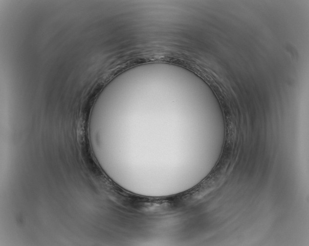X0000112820274200908211006