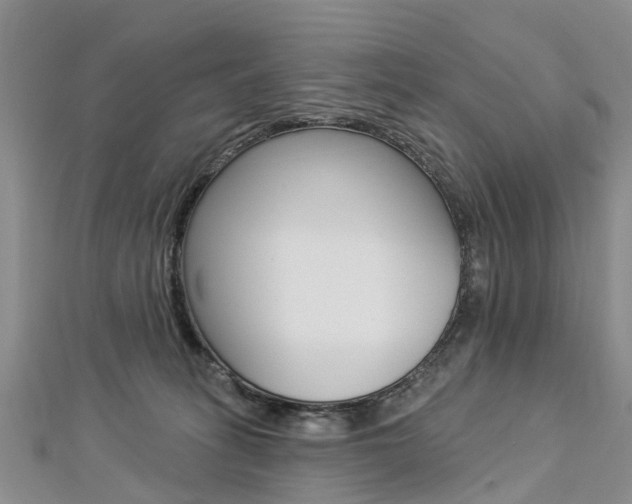 X0000112820275200908211006