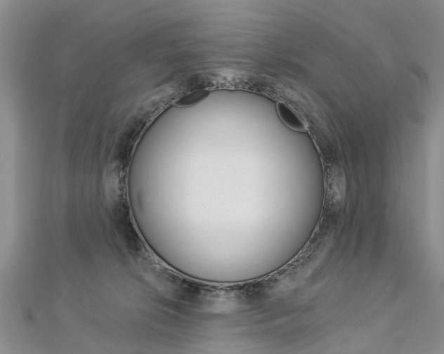 X0000112820276200908211006