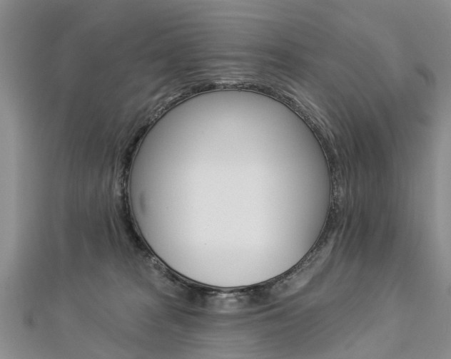X0000112820277200908211006