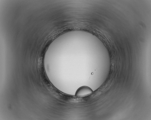 X0000112820278200908211006