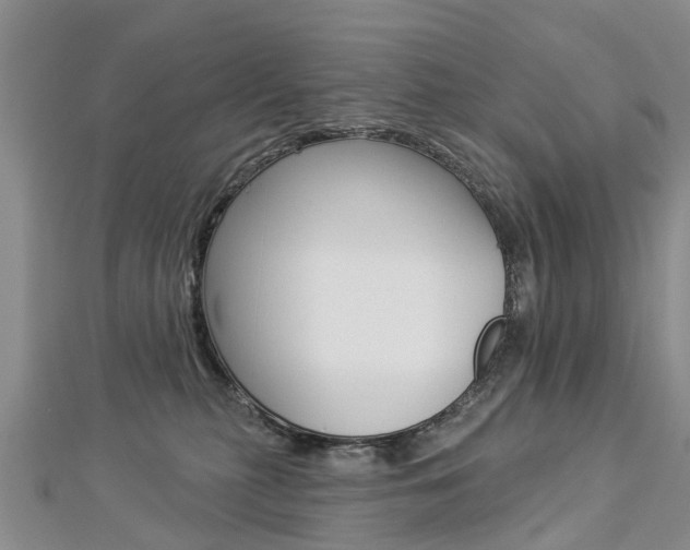 X0000112820279200908211006