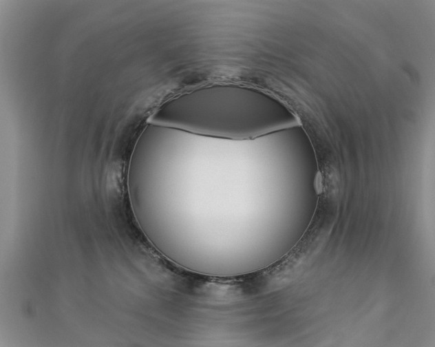 X0000112820280200908211006