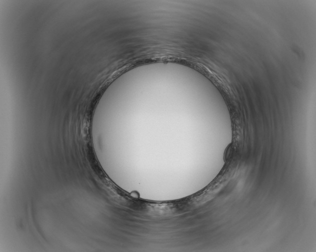 X0000112820281200908211006