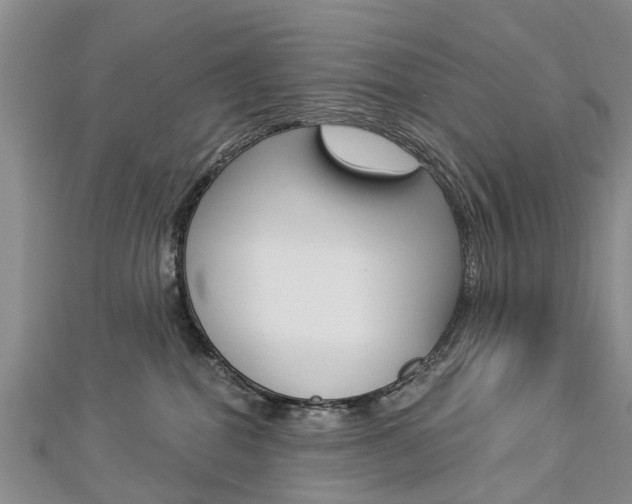 X0000112820282200908211006