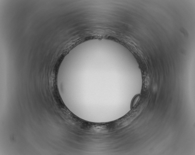 X0000112820283200908211006