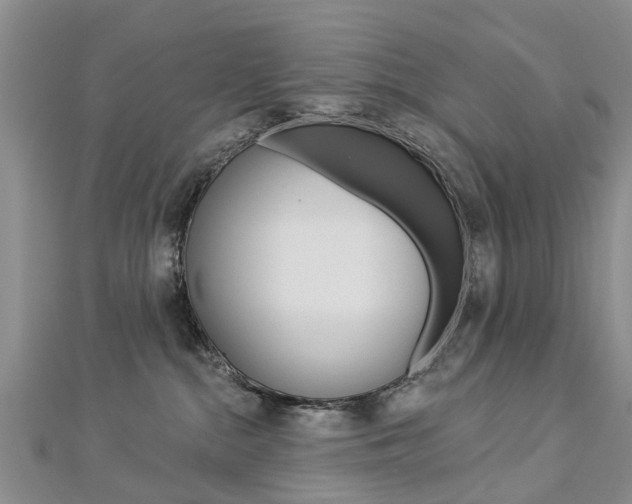 X0000112820284200908211006