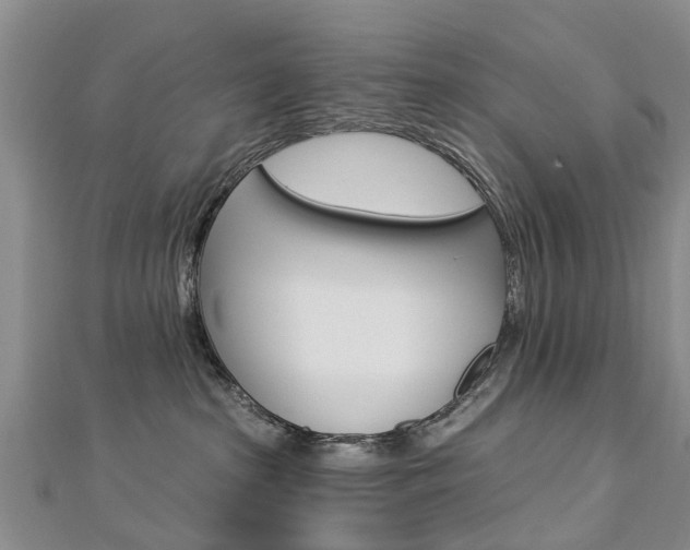 X0000112820285200908211006