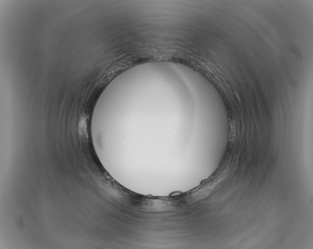 X0000112820286200908211006