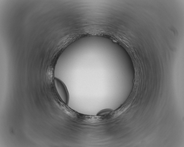 X0000112820288200908211006
