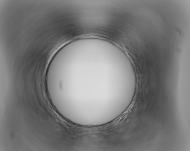 X0000112820289200908211006
