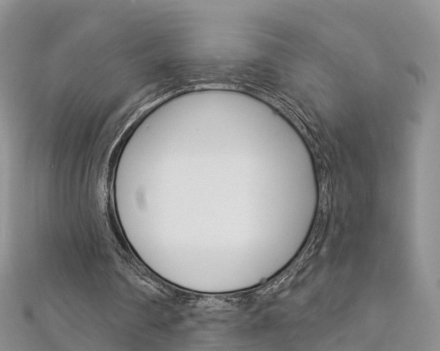 X0000112820290200908211006