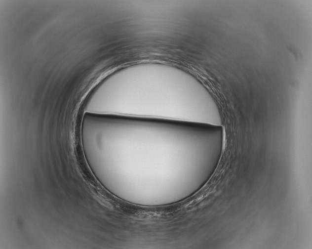 X0000112820291200908211006