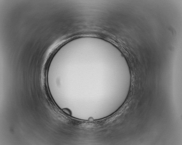 X0000112820294200908211005