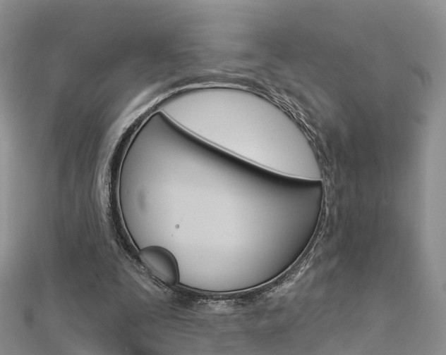 X0000112820295200908211005