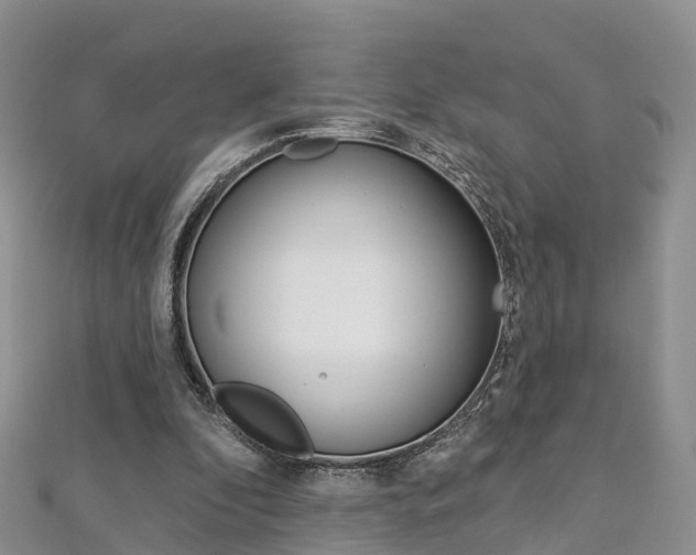 X0000112820296200908211005