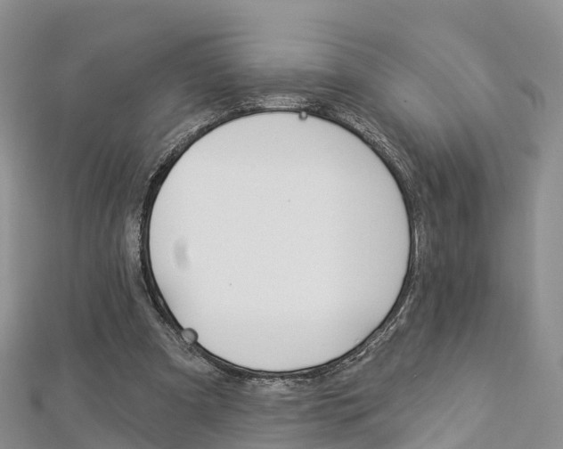 X0000112820297200908211005