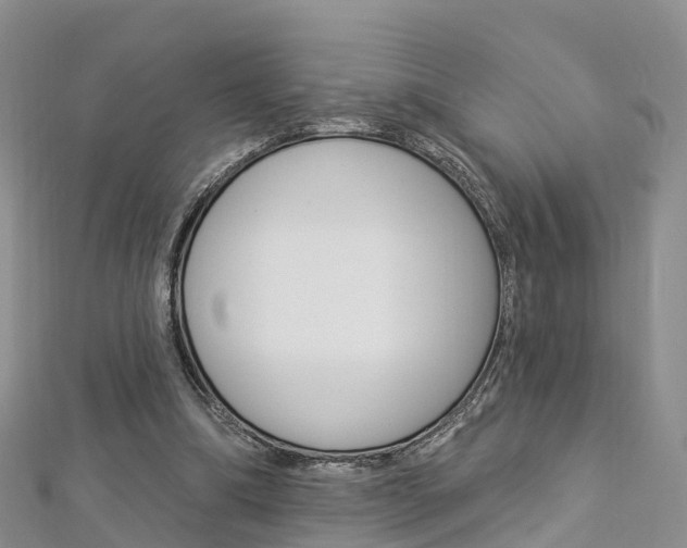 X0000112820298200908211005