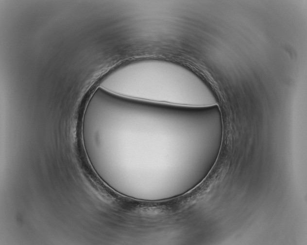 X0000112820299200908211005