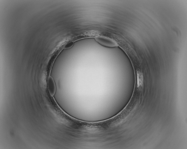 X0000112820300200908211005