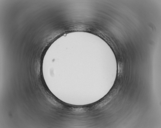 X0000112820301200908211005