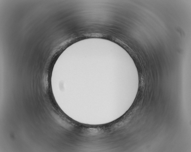 X0000112820302200908211005