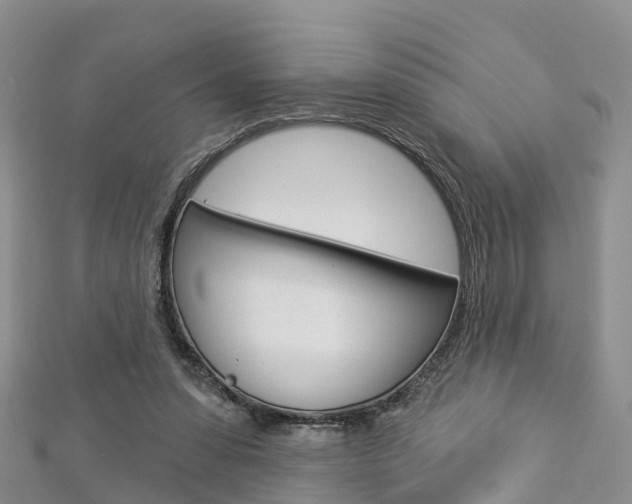 X0000112820303200908211005