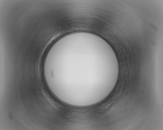 X0000112820304200908211005