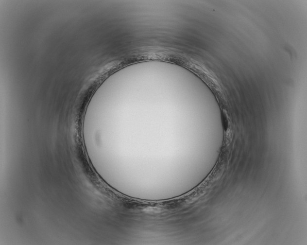 X0000112820306200908211005