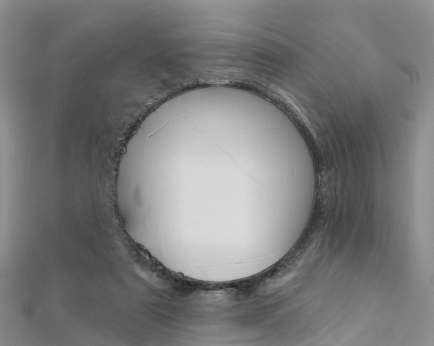 X0000112820307200908211005