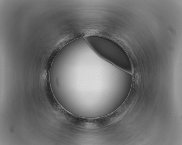 X0000112820308200908211005