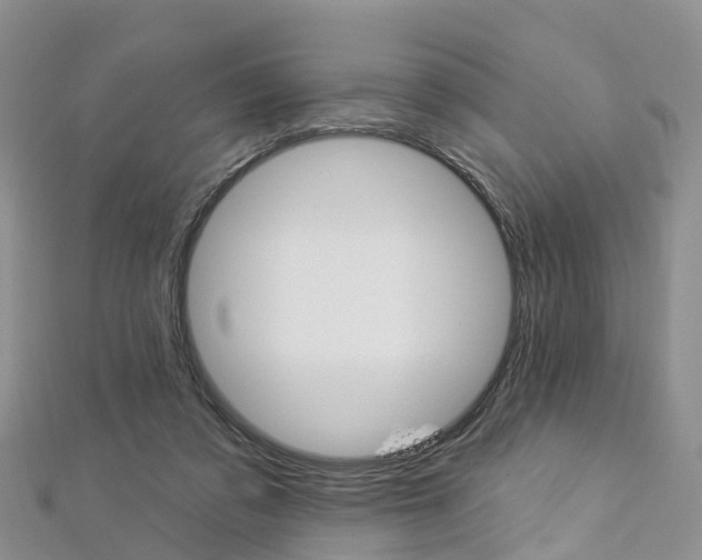 X0000112820309200908211005