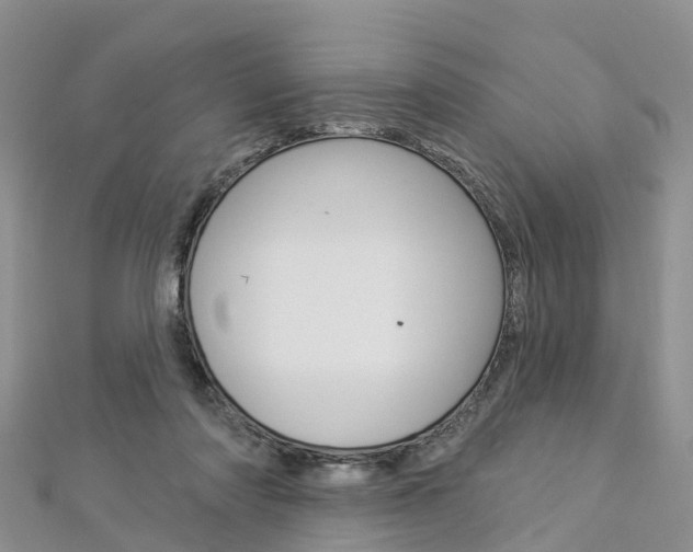 X0000112820310200908211005