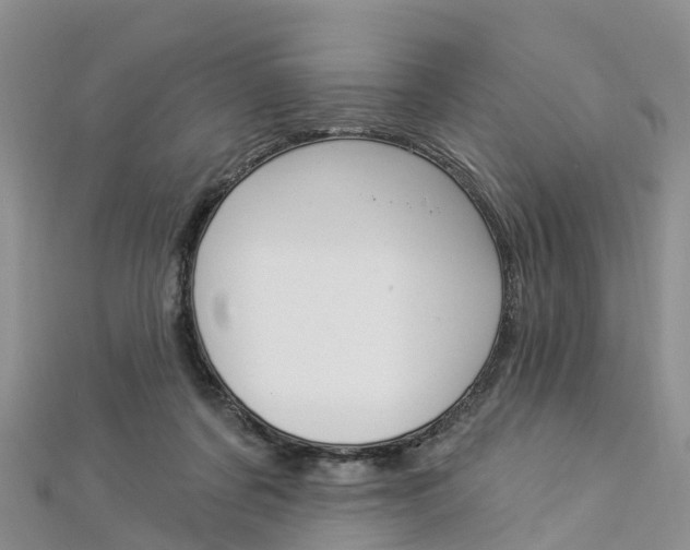 X0000112820311200908211005