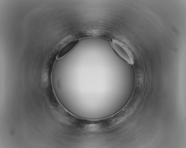 X0000112820312200908211005