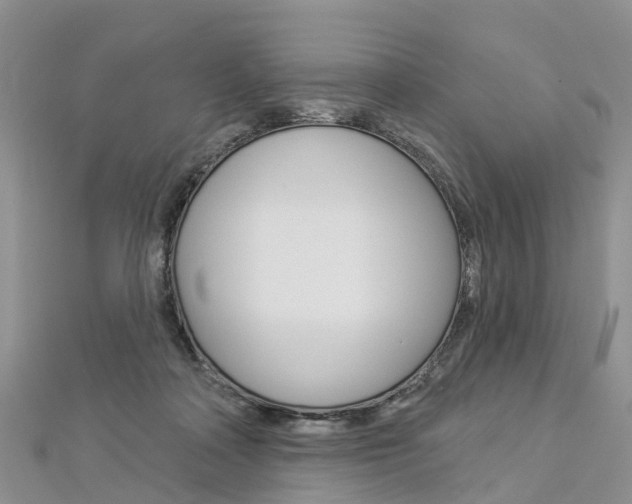 X0000112820314200908211005