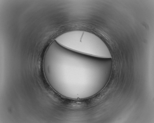 X0000112820315200908211005