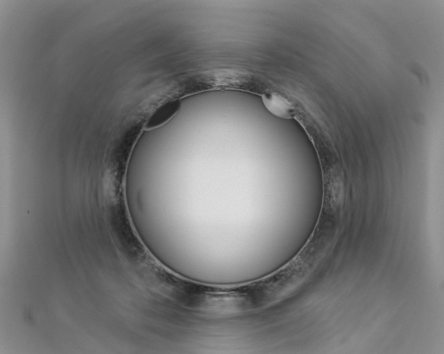 X0000112820316200908211005