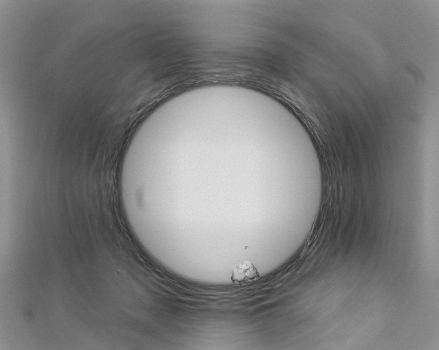 X0000112820317200908211005