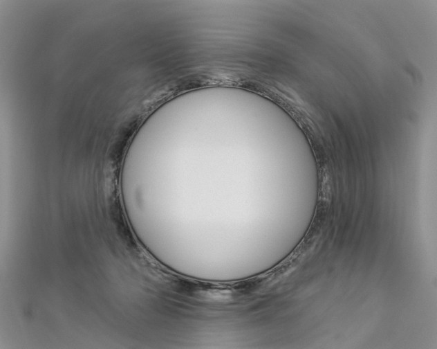 X0000112820318200908211005