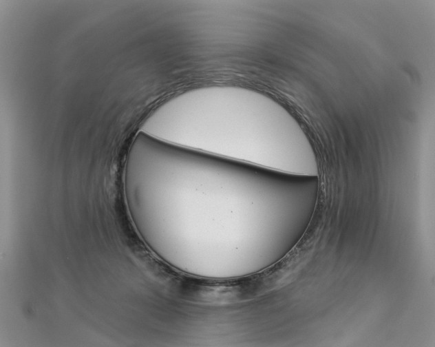 X0000112820319200908211005