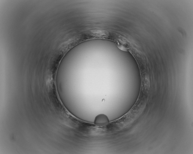 X0000112820320200908211005