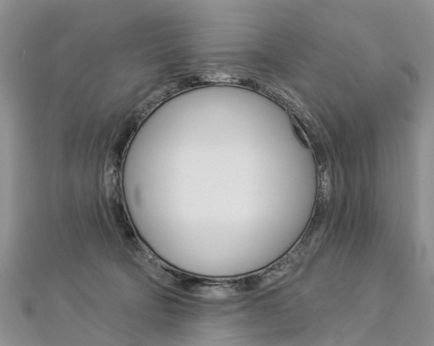 X0000112820322200908211005
