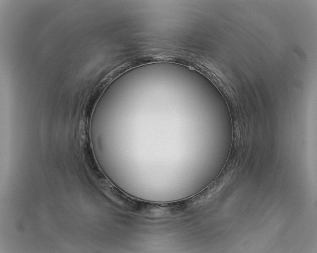 X0000112820325200908211005