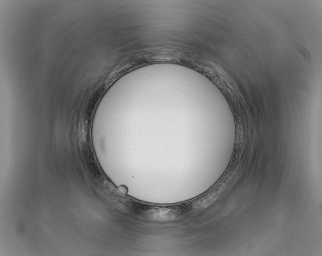 X0000112820326200908211005