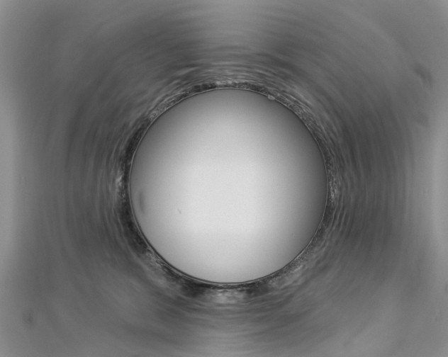X0000112820327200908211005