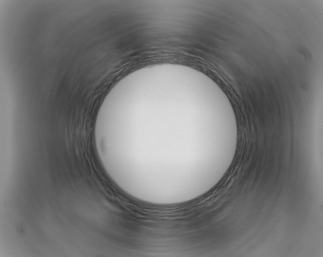 X0000112820328200908211005
